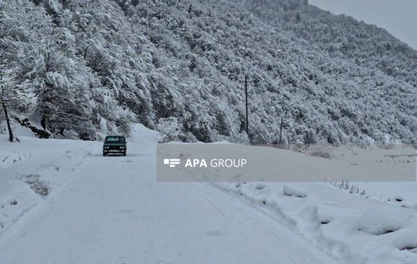 Güclü qar Qəbələnin dağlıq kəndlərinə gediş-gəlişi çətinləşdirib