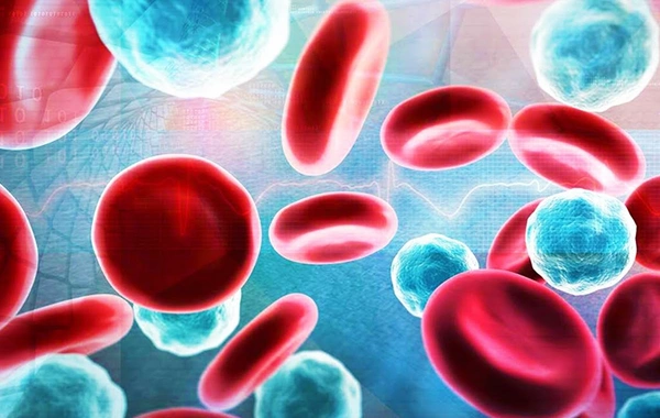 Named the only blood type with the shortest lifespan