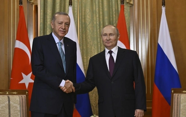 Erdogan and Putin discussed regional issues