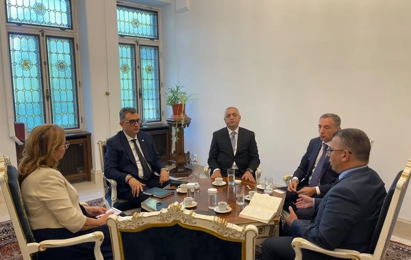 Prezidentin xüsusi nümayəndəsi Qarabağ bölgəsinin Rumıniya regionları ilə əlaqələrinin qurulmasını müzakirə edib