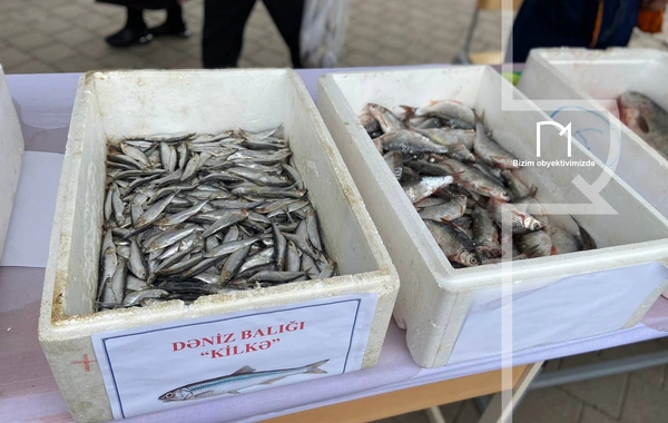 Neftçalada rayonunda "I Balıq" Festivalı keçirilib