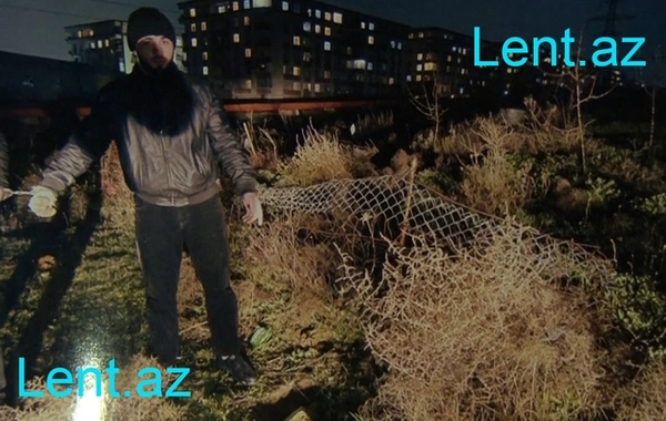 Röya Ayxanın stilistini 57 bıçaq zərbəsi ilə ÖLDÜRDÜLƏR - Hadisə yerindən GÖRÜNTÜLƏR