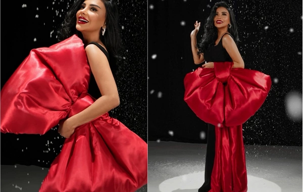 Vüsalə Əlizadədən Yeni il ab-havalı FOTOSESSİYA