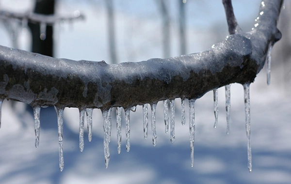 Qonşu ölkəyə dondurucu şaxtalarla bağlı xəbərdarlıq edildi