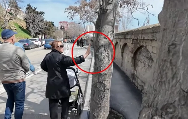 İnsanların problemdən qurtula bilmədiyi prospekt: Dirək və ağaclar səkini keçilməz edib