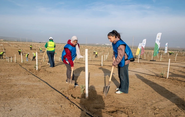 "SOCAR Midstream" ağacəkmə aksiyası keçirib