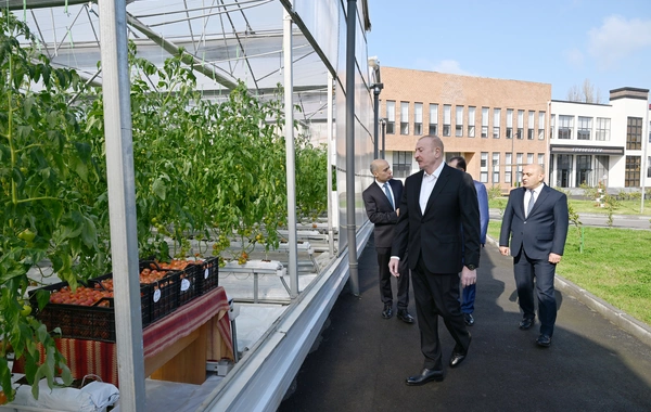 İlham Əliyev Lənkəran Dövlət Peşə Təhsil Mərkəzinin açılışında iştirak edib