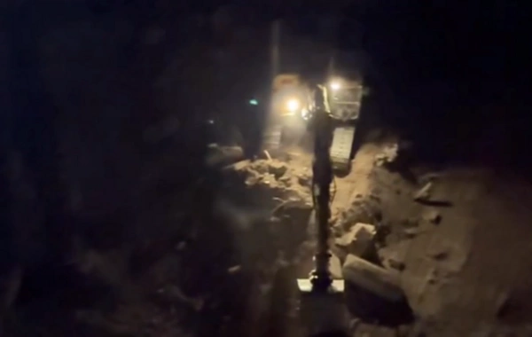 Bakıda şirkət ağacları kəsib - İşi Baş Prokurorluq araşdıracaq