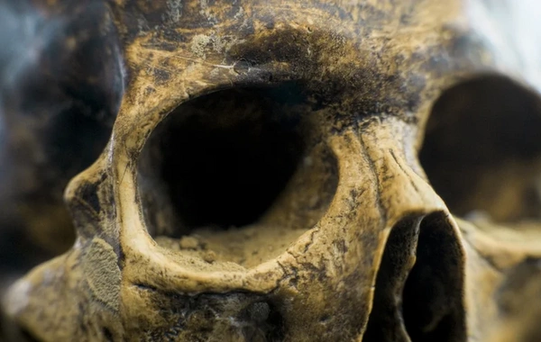 Skull of unknown ancient human species found in China