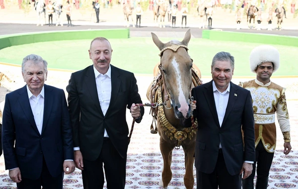 Azərbaycan Prezidenti İlham Əliyevə "Axaltəkə" atı hədiyyə edilib