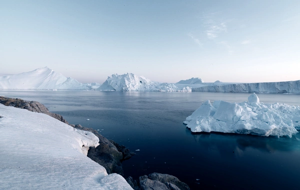 В Антарктиде впервые замечена акула