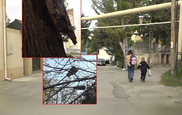 6-cı mikrorayon sakinlərini bezdirən PROBLEM