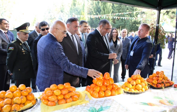 DTX tərəfindən saxlanılan icra başçısının son GÖRÜNTÜLƏRİ DTX tərəfindən saxlanılan icra başçısının son GÖRÜNTÜLƏRİ