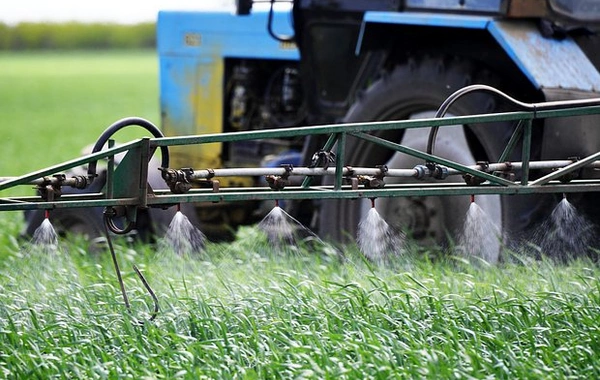 Xərçəng riskini artıran gizli səbəb aşkarlandı