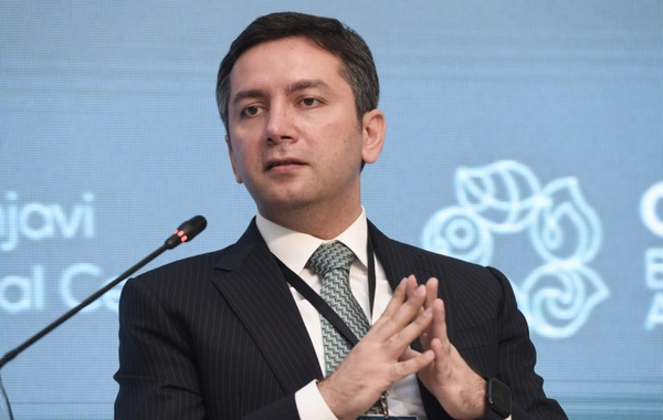 Yalçın Rəfiyev: Bakıda D-8 təşkilatı çərçivəsində üç istiqamət üzrə yeni mərkəzlər açılacaq