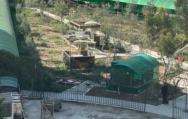 Bəy Mamed hasarladığı həyəti istirahət parkına çevirir