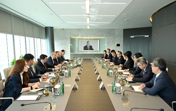 Микаил Джаббаров обсудил с Лю Цзюнем совместный зеленый промпарк