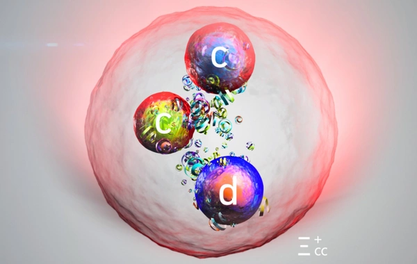 The mystery that puzzled physicists for 60 years turned out to be solved in an unexpected way