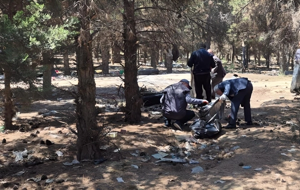Abşeronda 64 ağacın məhv edildiyi yaşıllıq sahəsi bərpa olunub