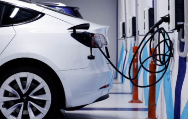 Dövlət Gömrük Komitəsinin sədri: Elektomobillər ƏDV-yə cəlb ediləcək