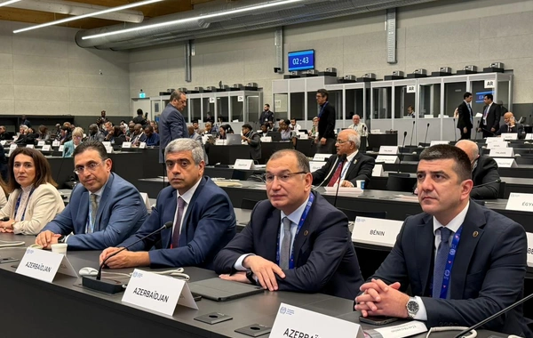 AHİK sədri Sahib Məmmədov Beynəlxalq Əmək Konfransının 114-cü sessiyasında çıxış edib