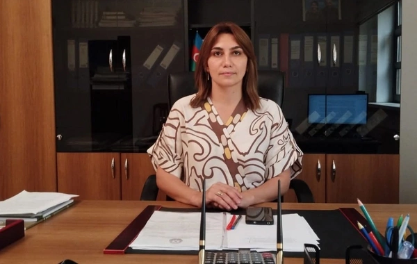 Masallı Rayon İcra Hakimiyyətində YENİ TƏYİNAT