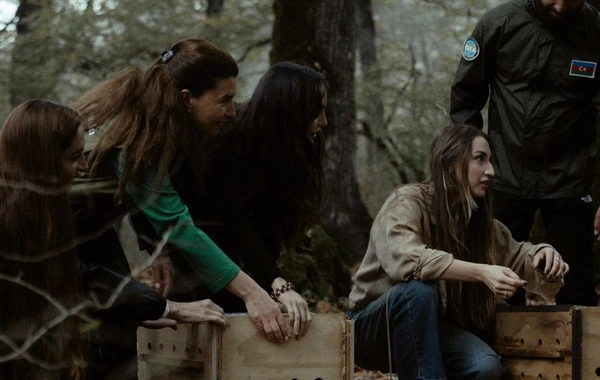 Leyla Əliyeva, Arzu Əliyeva və Alena Əliyeva Lənkəranda ekoloji aksiyalarda iştirak ediblər