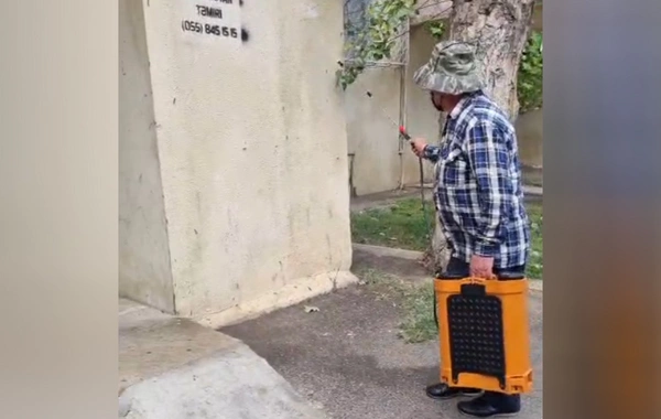 Bakıda tırtıllara qarşı dərmanlama işləri aparılıb