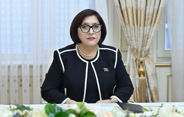 Azərbaycan və Çex Respublikası parlamentləri arasında əməkdaşlığın genişləndirilməsi müzakirə edilib