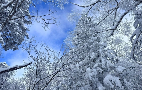 Kəlbəcər, Laçın, Qubadlı, Zaqatala və Şahdağa qar yağır - FAKTİKİ HAVA
