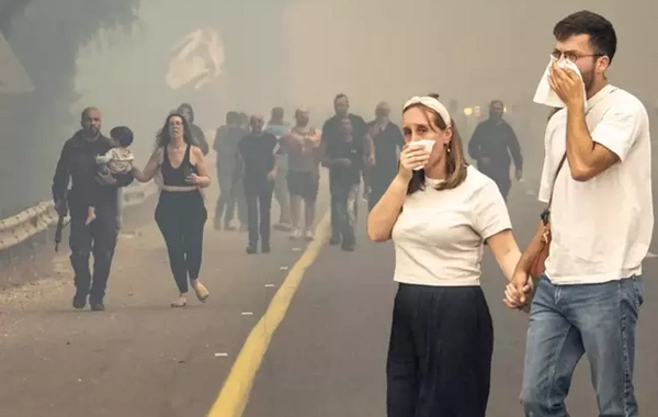 İsraildə meşə yanğınları: 12 min hektar ərazi külə döndü
