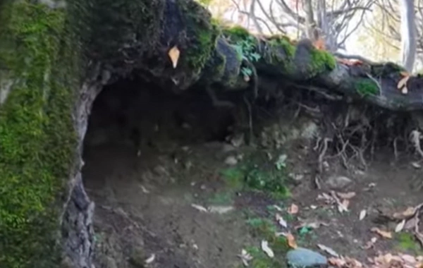 Babək qalası adlandırılan QƏDİM TİKİLİDƏ arxeoloji qazıntı işləri aparılacaq?