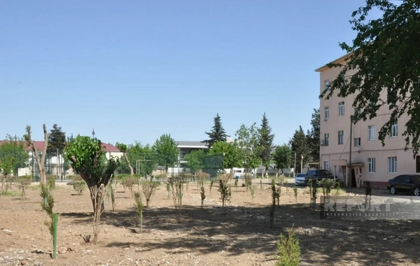 Biləsuvarda yeni park salınıb