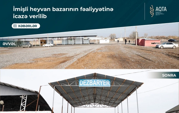 İmişlidə heyvan satışı bazarı açılıb