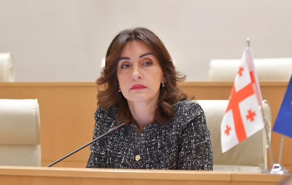 Boçorişvili: Tbilisi, Bakı və Ankara əməkdaşlığın dərinləşdirilməsi üçün əhəmiyyətli potensiala malikdir