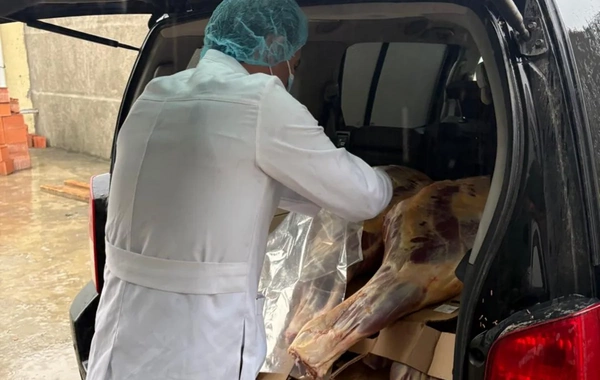 İstehlaka yararsız 227 kq at əti aşkarlanıb