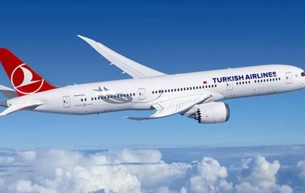 Türk Hava Yolları 10 ölkəyə uçuşları ləğv etdi - SİYAHI