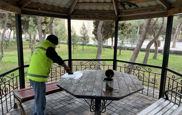 Güclü yağışdan sonra Bakıda genişmiqyaslı daxili iməcilik keçirilib