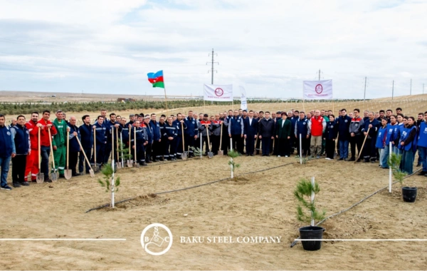 Baku Steel Company ətraf mühitin mühafizəsinə töhfəsini gücləndirir: təxminən 3000 ağac əkilib