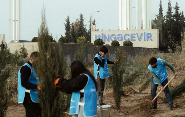 Leyla Əliyeva Mingəçevirdə ekoloji aksiyalarda iştirak edib