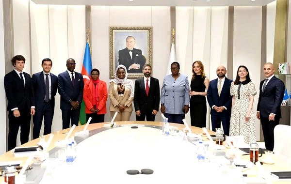 SOCAR "Baleine" yatağında görülən işləri nəzərdən keçirib