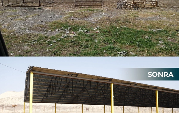 В Шамахинском и Гейчайском районах открылись рынки продажи животных