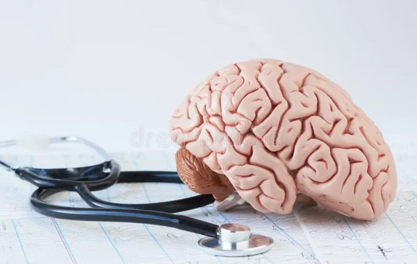 # A Non-Obvious Way to Prolong Brain Youth Has Been Named