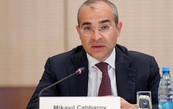 Mikayıl Cabbarov: Azərbaycan məktəblərində rəqəmsal səriştələrin tədrisinə başlanılıb