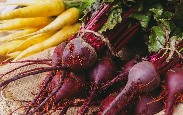 Four compelling reasons to include beetroot in your diet