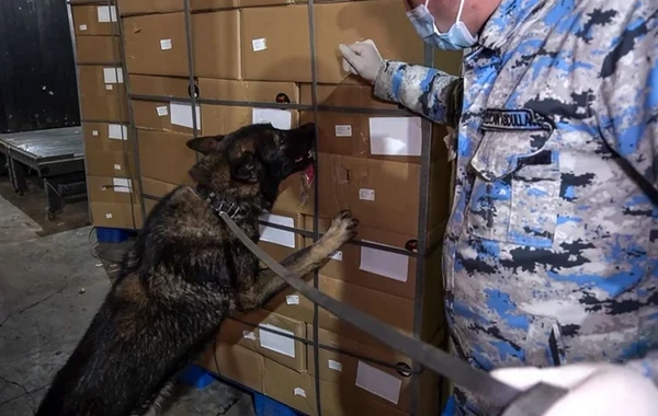 "Quru meyvə" adı ilə 112 kiloqramdan artıq narkotiki ölkəyə keçirmək istədilər