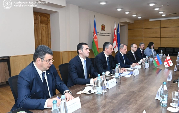 Ceyhun Bayramov Gürcüstanda rəsmi səfərdədir