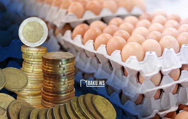 Azərbaycanda broyler yumurtaları BAHALAŞDI