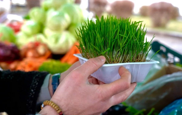 Xankəndidə "Kənddən Şəhərə" Novruz yarmarkası keçirilir