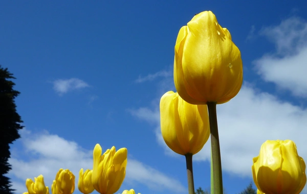 Прогноз погоды в Азербайджане на 10 апреля